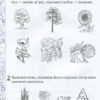 НУШ Я досліджую світ 1 клас Робочий зошит 2 часнина (у 2-х частинах) до підручника Гільберг, Тарнавської із наліпками (Укр) ПЕТ (9789669251763) (455291) - Зображення 3