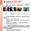 НУШ Я досліджую світ 3 клас Робочий зошит 1 частина (у 2-х частинах) Грущинська, Хитра (Укр) Оріон (9789669910318) (455655) - Зображення 3