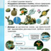 НУШ Я досліджую світ 3 клас Підручник 1 частина ( у 2-х частина) Грущинська, Хитра (Укр) Оріон (9789669910202) (455653) - Зображення 2