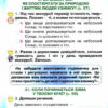 НУШ Я досліджую світ 2 клас. Робочий зошит. Частина 1. Грущинська (Укр) Оріон (9786177712793) (455643) - Зображення 3