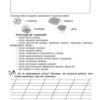 Канікули без нудьги. Я іду в 3-й клас НУШ (Укр) Богдан (9789661065962) (458557) - Зображення 3