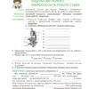 Біологія 6 клас Робочий зошит (2020) (Укр) Школяр (9789661650427) (462341) - Зображення 8