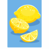 НУШ Флеш - картки Quick Minds 3 клас Flashcards (Ukrainian edition) Англійська мова Пухта (Англ) Лінгвіст (9786177713462) (437626) - Зображення 5