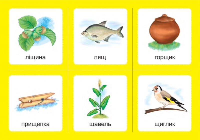 НУШ Українська мова 1 клас Дидактичні картки Асоціації звуки [ж][ш], [ш][ш], комплект 2 (у 3 -х частинах) (Укр) Богдан (2005000010910) (467078) - Зображення 2