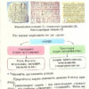 НУШ Я досліджую світ 4 клас. Підручник Частина 1 Гільберг Т. Г. (Укр) Генеза (9789661111683) (470458) - Зображення 7