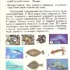 НУШ Я досліджую світ 4 клас Підручник Частина 2 Гільберг (Укр) Генеза (9789661111713) (470460) - Зображення 9