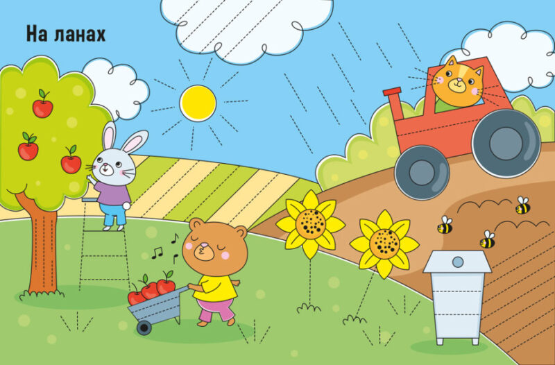 Малюємо лінії і фігури. Напиши, зітри, повтори! (Укр) (9789667508081) (473758) - Зображення 2