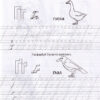 Каліграфічна абетка. Прописи 4+ (Укр) Талант (9789669359896) (481503) - Зображення 5