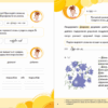 Читання 1 клас. Букварик для небайдужих. Частина 3 (Укр) Видавництво Старого Лева (9789664480229) (481810) - Зображення 3