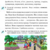 Українська мова 4 клас. Робочий зошит. Застосовую знання (Укр) Оріон (9789669911452) (481640) - Зображення 2
