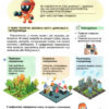 НУШ Інформатика 5 клас. Підручник. Козак Л. (Укр) Літера (9789669453518) (483778) - Зображення 4