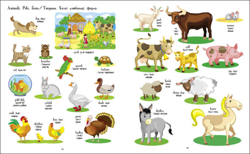 English for kids. Книжка англійських слів у малюнках. Коваль Н.М. (Укр/Англ) АРТ (9786170976093) (490626) - Зображення 3