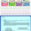 Прописи та лабіринти. Загублені стежки 6+ (Укр) Ула (9789662849349) (456443) - Зображення 5