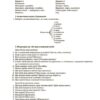Українська література 6 клас. Мій конспект. Матеріали до уроків. Рябих С.С. (Укр) Основа (9786170041685) (492675) - Зображення 10
