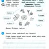 НУШ Українська мова та читання 2 клас. Робочий зошит. До підручника Большакова, Пристінська. Частина 1 (з 2-х частин) (Укр) Ранок (9786170955999) (491952) - Зображення 4