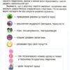 Я досліджую світ 1 клас. Підручник. Частина 2 Грущинська І. В. (Укр) Оріон (9786177485888) (313489) - Зображення 2