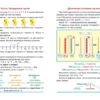 Математика 1-4 класи. Зручний довідник. Легко та зрозуміло. Алліна О.Г. (Укр) Торсінг (9786175241370) (494241) - Зображення 2