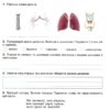 НУШ Я досліджую світ 3 клас + Інформатика. Робочий зошит. Гільберт Т.Г. Частина 2 (Укр) Генеза (9789661113182) (496263) - Зображення 2