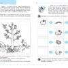 Природа та охорона довкілля 5+. Робочий зошит. Успішний старт. Дерипаско Г., Федієнко В. (Укр) Школа (9789664298510) (499299) - Зображення 4