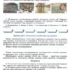 НУШ Географія 6 клас. Робочий зошит та діагностичні роботи. Гільберг Т.Г. (Укр) Генеза (9789661113557) (499401) - Зображення 2