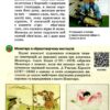 НУШ Зарубіжна література 5 клас. Підручник. Ніколенко О. М., Мацевко-Бекерська Л. В., Рудніцька Н.П. (Укр) Академія (9789665806738) (501156) - Зображення 4