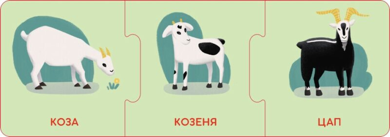 Логічні ланцюжки. Малюки тварини та їхні родини (Укр) Кенгуру КН1782001У (9789667513221) (495739) - Зображення 3