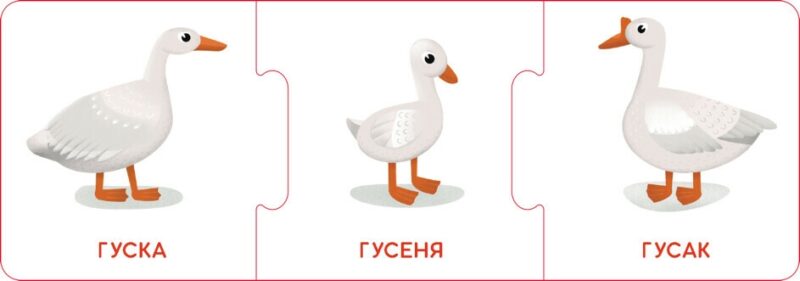 Логічні ланцюжки. Малюки тварини та їхні родини (Укр) Кенгуру КН1782001У (9789667513221) (495739) - Зображення 6