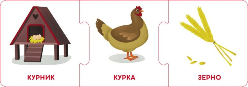 Логічні ланцюжки. Світ тварин. Хто де живе і що їсть (Укр) Кенгуру КН1782002У (9789667513238) (495741) - Зображення 4