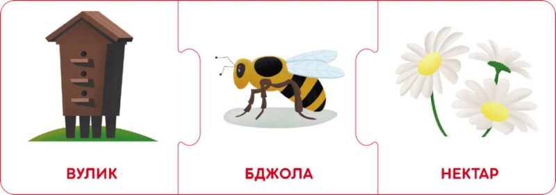 Логічні ланцюжки. Світ тварин. Хто де живе і що їсть (Укр) Кенгуру КН1782002У (9789667513238) (495741) - Зображення 6