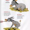 Funny poems. Англійські вірші та Абетка + набір карток. Крупчан С. (Укр/Анг) Рідна Мова (9789669174598) (508763) - Зображення 6