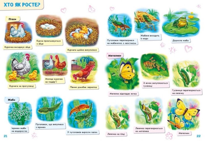 Малюкові про все на світі (Укр) Ранок (9786170986092) (508946) - Зображення 2