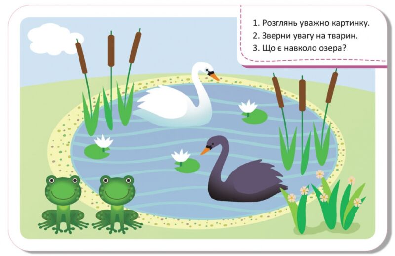 Світ довкола. Гра-запам'ятайка (Укр) Кенгуру (9789667508913) (477895) - Зображення 5