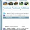 НУШ Я досліджую світ 4 клас. Робочий зошит. Частина 1. Грущинська І.В. (Укр) Оріон (9789669911285) (467092) - Зображення 4
