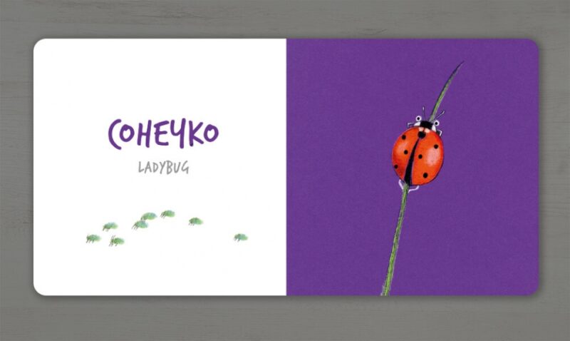Комахи. Таберко К. (Укр/Анг) Артбукс (9786177395163) (515941) - Зображення 4
