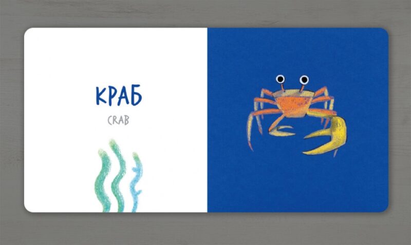Морські тварини. Таберко К. (Укр/Анг) Артбукс (9786177395170) (515943) - Зображення 2