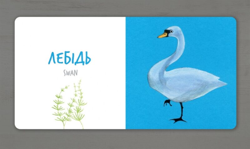 Птахи. Таберко К. (Укр/Анг) Артбукс (9786177395262) (515944) - Зображення 3