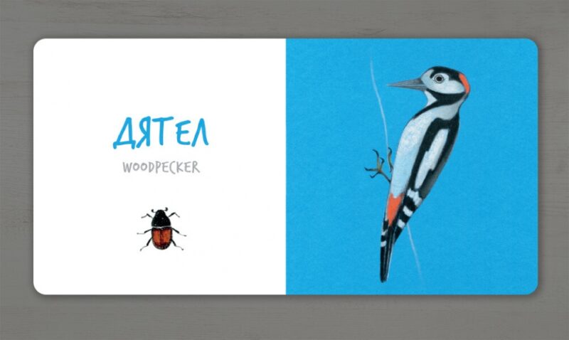 Птахи. Таберко К. (Укр/Анг) Артбукс (9786177395262) (515944) - Зображення 4