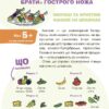Цікаві кулінарні досліди. PRO науку. Пужайчереда Л.М., Карнаушенко В.О. (Укр) Основа (9786170041746) (492573) - Зображення 3
