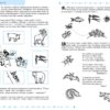 Природа та охорона довкілля 4+. Робочий зошит. Успішний старт. Дерипаско Г., Федієнко В. (Укр) Школа (9789664299180) (518175) - Зображення 3