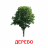 Картки міні. Рослини (110х110 мм) Зірка 145596 (2000001455968) (478518) - Зображення 2