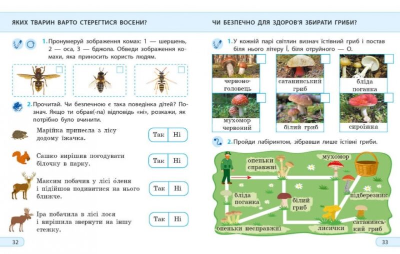 НУШ Я досліджую світ 2 клас. Робочий зошит. До підручника Грущинської І., Хитрої З. Частина 1 (з 2-х частин) (Укр) Ранок (9786170974037) (520258) - Зображення 2