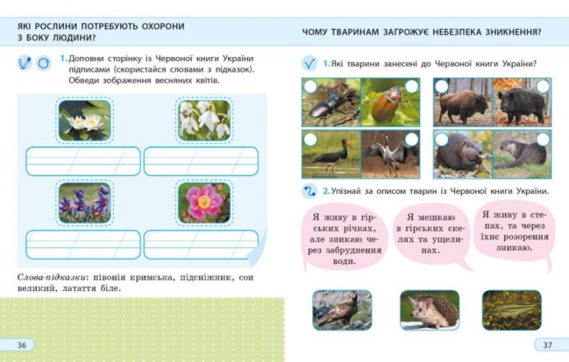 НУШ Я досліджую світ 2 клас. Робочий зошит. До підручника Грущинської І., Хитрої З. Частина 2 (з 2-х частин) (Укр) Ранок (9786170974044) (520259) - Зображення 4