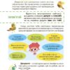 Українська – це круто! 7+. Вивчати весело та цікаво! Візуалізований довідник – Дворецька Ю.В., Карнаушенко В.О. (Укр) Основа (9786170042385) (524375) - Зображення 5