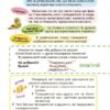 Українська – це круто! 7+. Вивчати весело та цікаво! Візуалізований довідник – Дворецька Ю.В., Карнаушенко В.О. (Укр) Основа (9786170042385) (524375) - Зображення 6