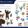 Мавка. Таємниці знань. Магічні вправи (Укр) Ранок (9786170992550) (522245) - Зображення 4