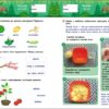 SMARTліто. Іду у 3 клас. Оновлене видання – Коваль Н.М. (Укр) АРТ (9786170994622) (541304) - Зображення 2