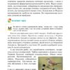 НУШ Духовні і моральні основи в житті людини 5 клас. Навчальний посібник – Жуковський В., Сідач І. (Укр) Літера (9789669453778) (537273) - Зображення 9