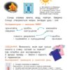 НУШ Я досліджую світ 1 клас. Підручник. Частина 2 (з 2-х частин) – Іщенко О., Кліщ О. (Укр) Літера (9789669454713) (523807) - Зображення 6