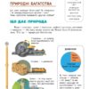 НУШ Я досліджую світ 2 клас. Підручник. Частина 2 (з 2-х частин) – Іщенко О., Іщенко А. (Укр) Літера (9789669454683) (523809) - Зображення 4