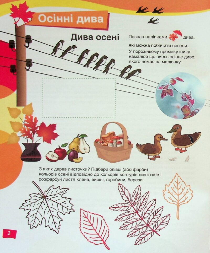Природограй 5+. Ознайомлення з природним довкіллям. Щабельки – Вертугіна В. (Укр) Літера (9789669454133) (511022) - Зображення 2